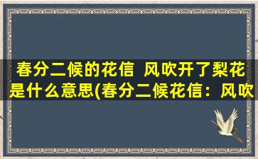 春分二候的花信  风吹开了梨花是什么意思(春分二候花信：风吹散落梨花，传递生命与美丽的信息)